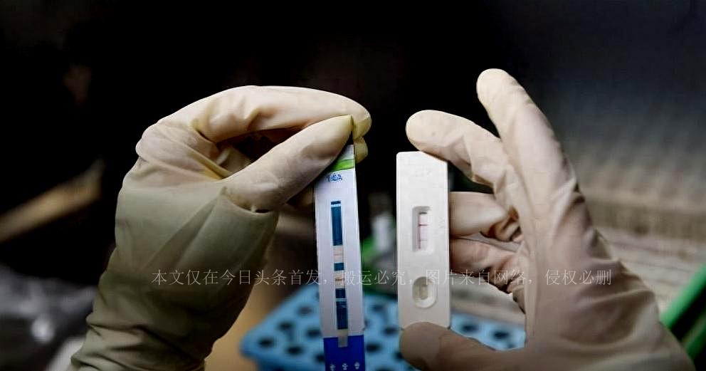 HIV感染者隐瞒病情的背后原因及其影响分析