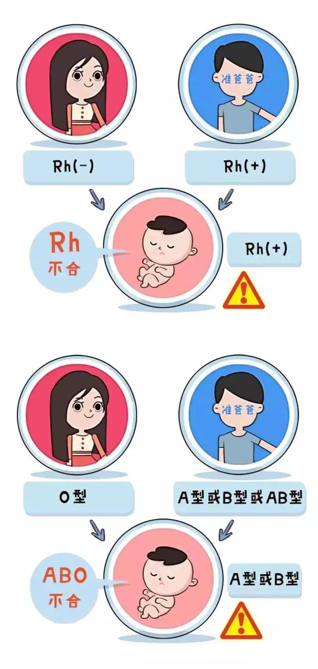 彩虹夫妇女儿确诊ABO溶血，勇敢面对，科学治疗之路