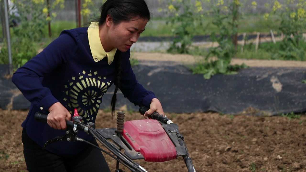 女硕士回村种地，同学聚会的尴尬与挑战