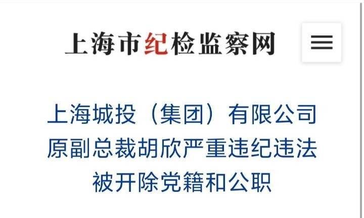 上海城投原副总裁胡欣被逮捕