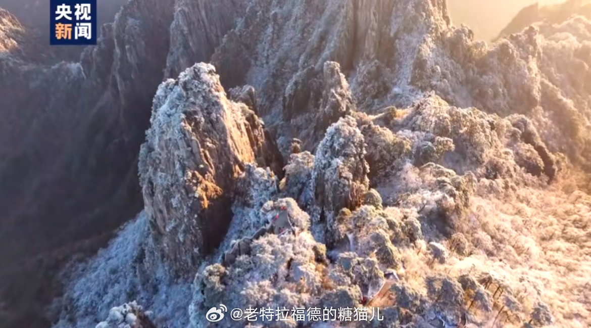 黄山金色雪景震撼来袭