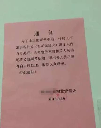 物业实施禁止养宠物及违规捕杀措施通知