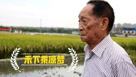 Title: Yuan Longping: The Man Who Changed the Course of Chinese Agricultural History