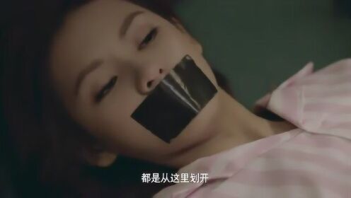 绑架美女，违法犯罪问题的探讨