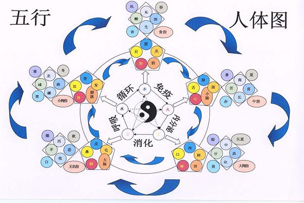 2024年12月11日 第28页