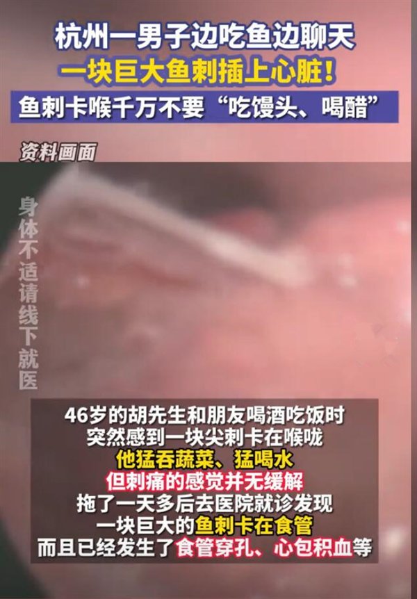 生死边缘的搏斗，鱼刺扎入心脏的巨大风险与自救挑战