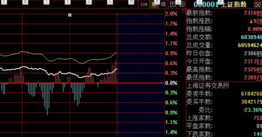 深成指股票代码以什么开头？