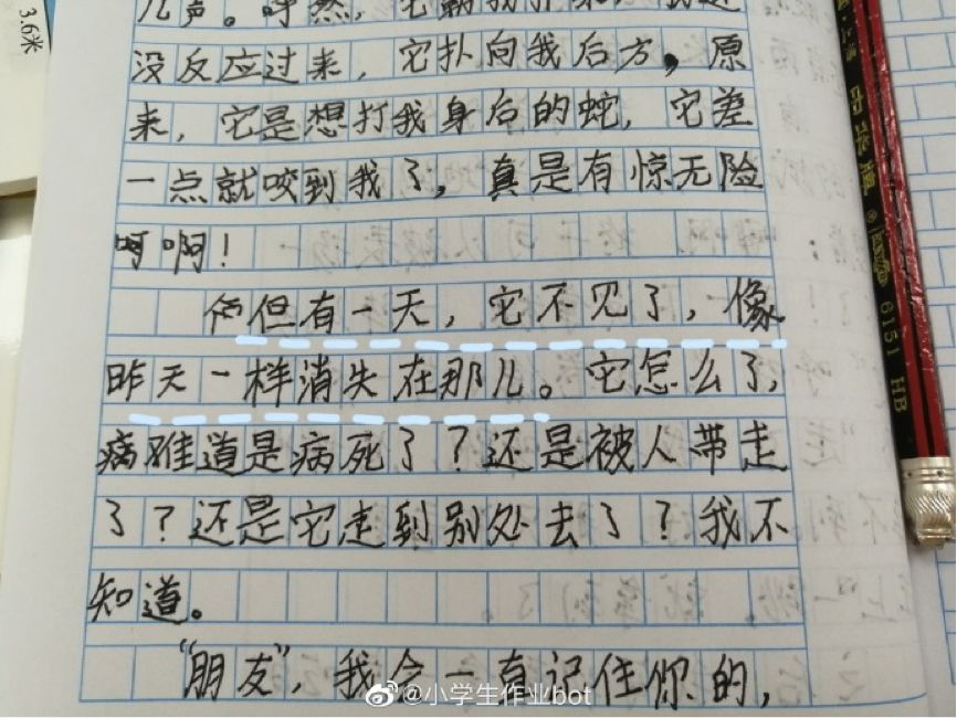 难忘的一天