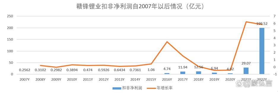 赣锋锂业股票投资分析