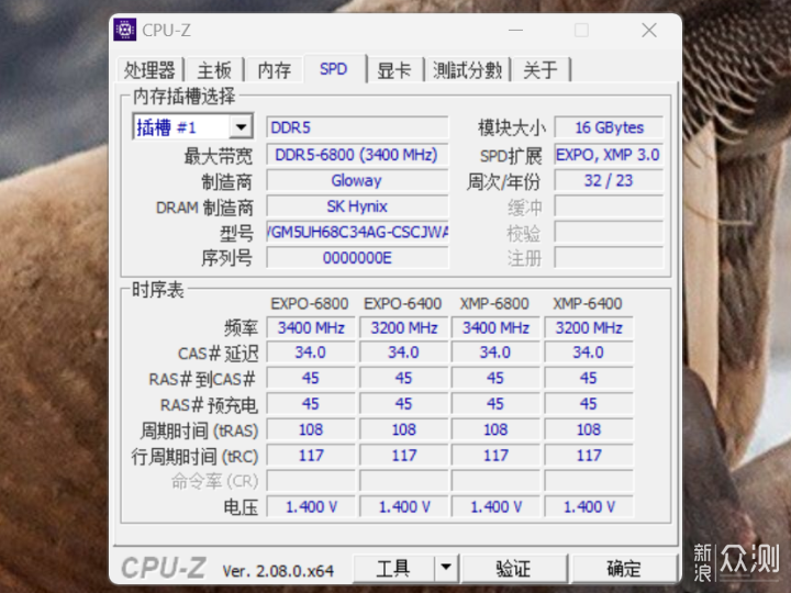 光威国产DDR5内存与长鑫DDR5颗粒生产展望，国产存储技术的新里程碑