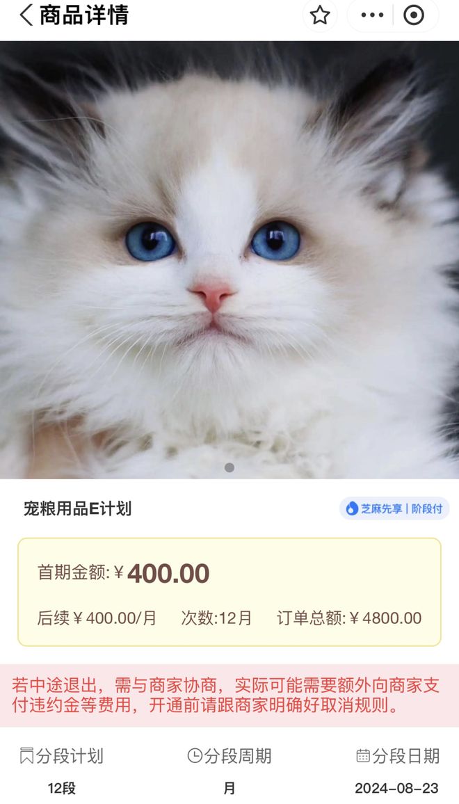 巨额猫贷拒付引发法律纠纷，领养者面临审判