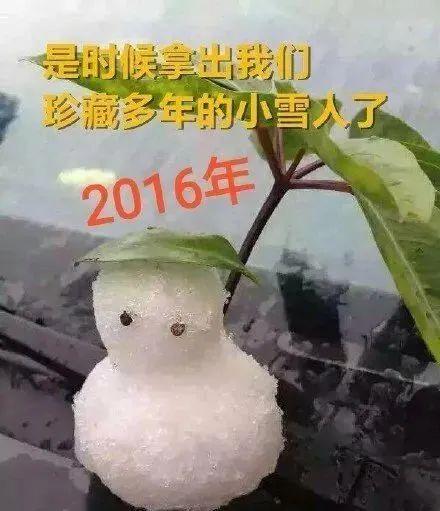 毛不易冬至广州演唱会，雪的诗意之旅