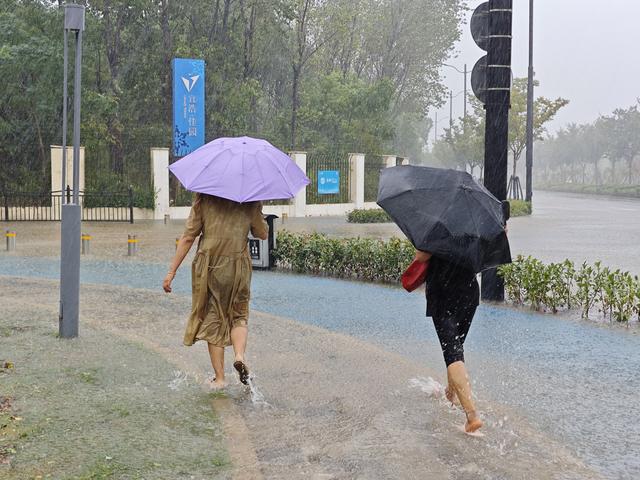 上海台风贝碧嘉，改变城市与人生