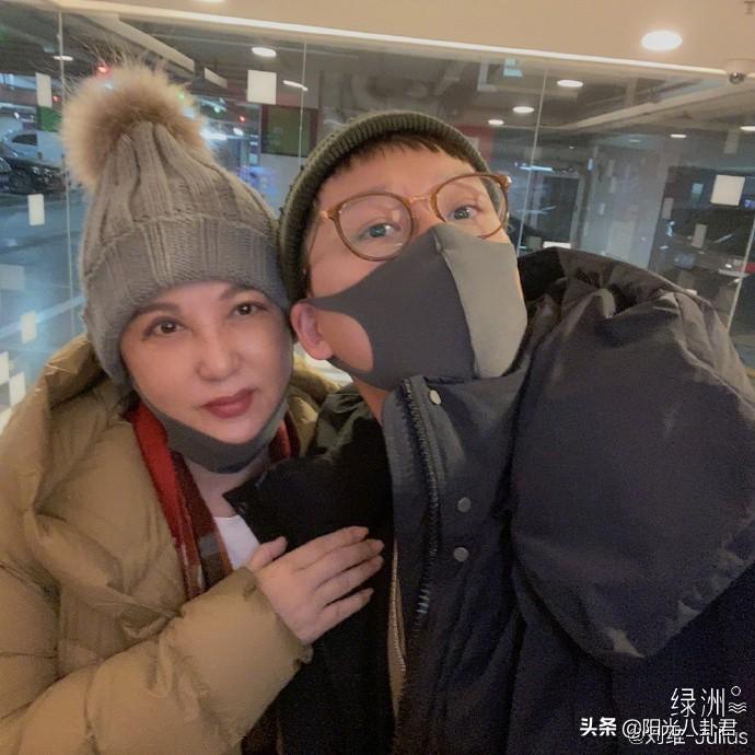 刘维牵线促成向佐与郭碧婷的婚姻幕后