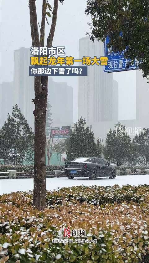 洛阳古都雪舞漫天，冬日神韵尽显银装素裹