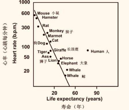 揭秘大自然奥秘，人类寿命为何约定在一百岁左右？