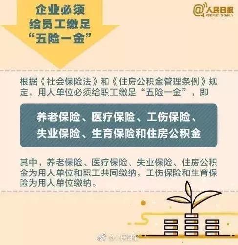 京东、美团外卖骑手社保缴纳背后的商业考量与市场策略分析